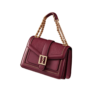 Burgundy Chain Shoulderbag img